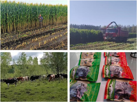 牙克石市庫都爾鎮(zhèn) 集聚“三項(xiàng)”發(fā)展之力，繪就鄉(xiāng)村振興新畫卷