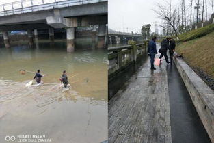 區畜牧局重拳出擊 多措并舉開展漁業“打非”專項行動，規范畜牧漁業飼料銷售市場